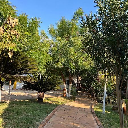 Quinta Rosita Panzió Ticul Kültér fotó