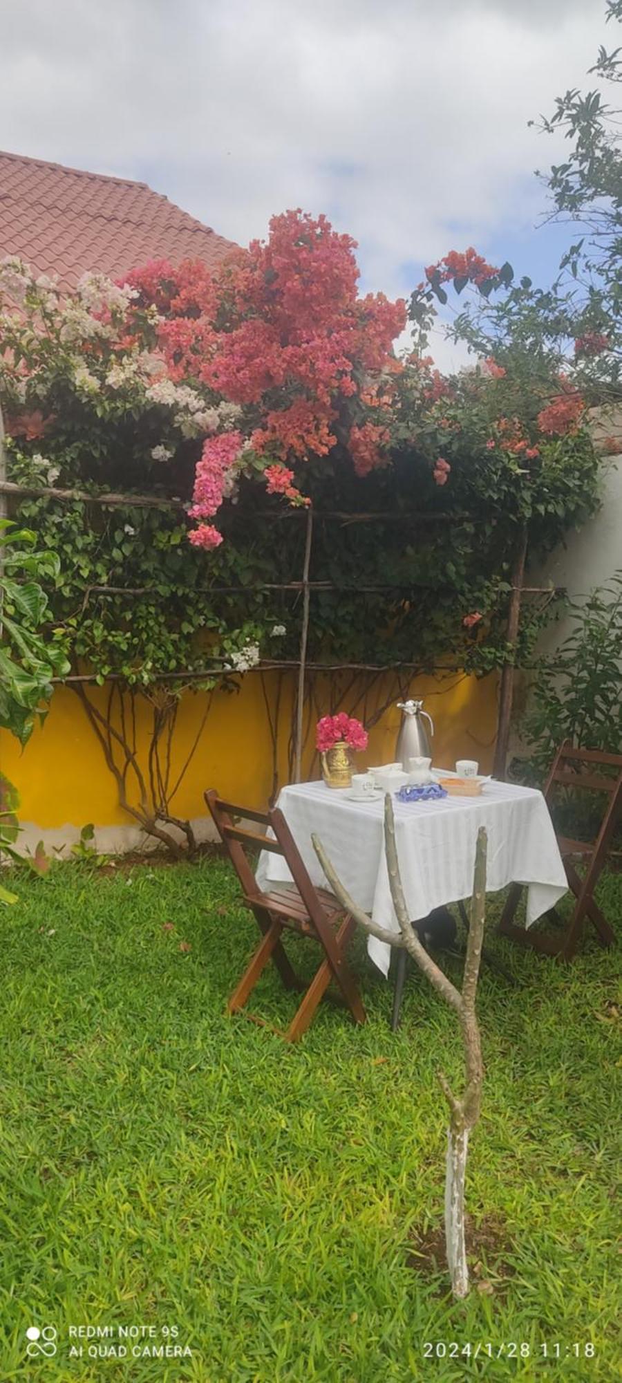 Quinta Rosita Panzió Ticul Kültér fotó