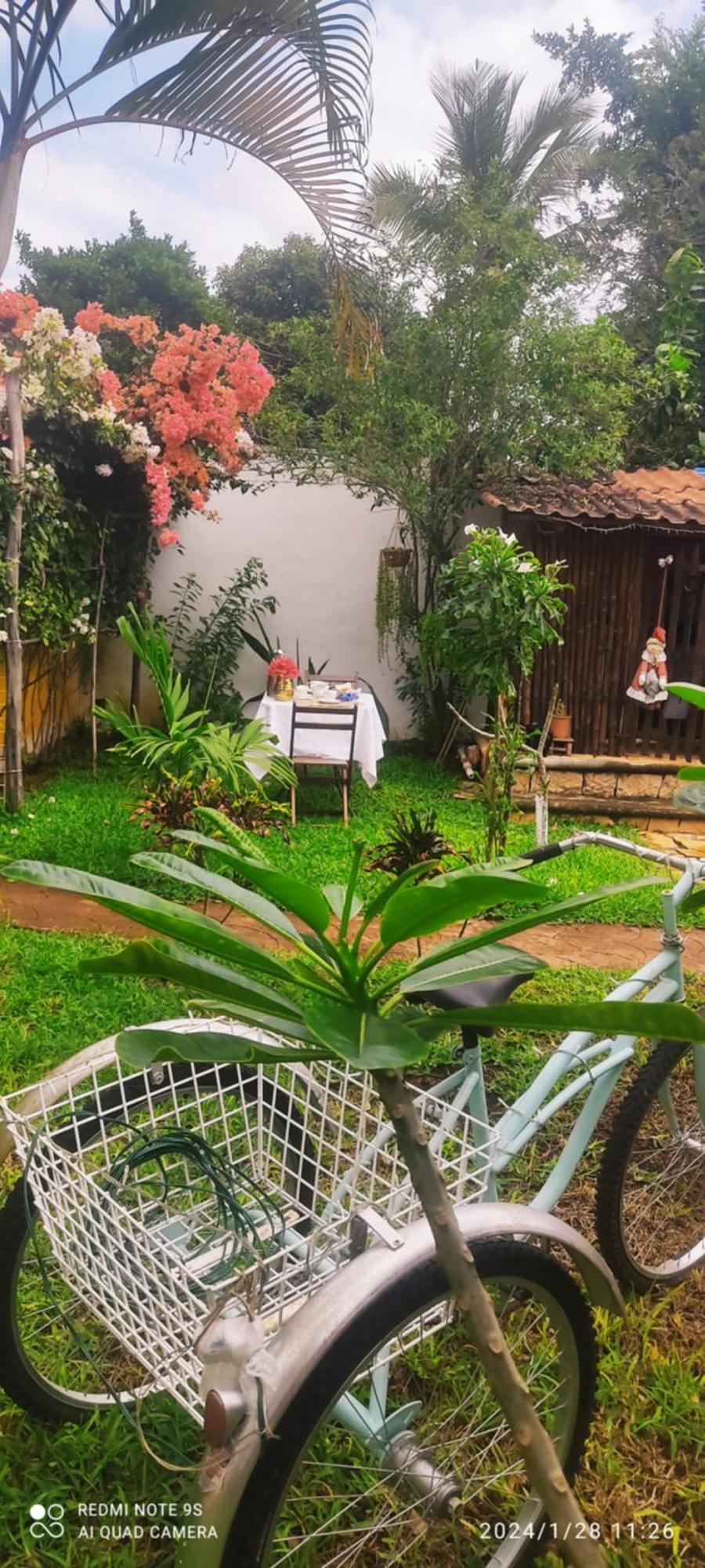 Quinta Rosita Panzió Ticul Kültér fotó
