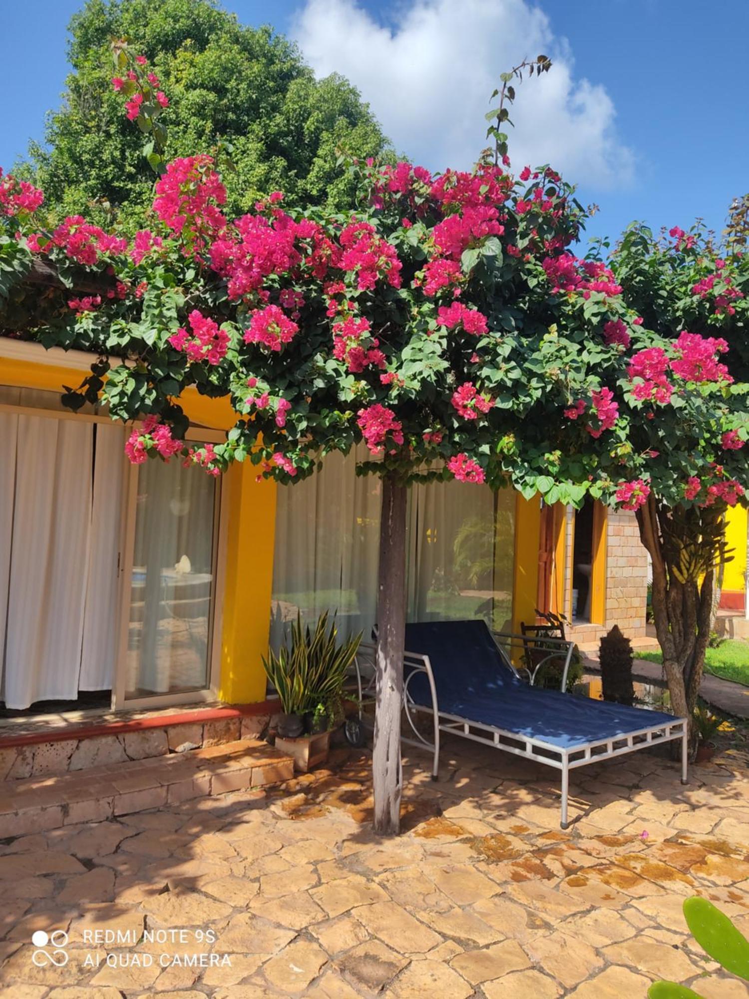 Quinta Rosita Panzió Ticul Kültér fotó